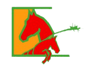 Centre équestre Pontivy – Pondi équitation, pension & concours à Malguenac Logo